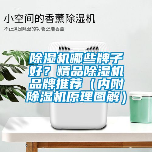 除濕機哪些牌子好？精品除濕機品牌推薦（內(nèi)附除濕機原理圖解）