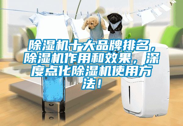 除濕機(jī)十大品牌排名，除濕機(jī)作用和效果，深度點(diǎn)化除濕機(jī)使用方法！