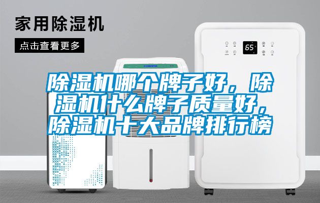 除濕機(jī)哪個(gè)牌子好，除濕機(jī)什么牌子質(zhì)量好，除濕機(jī)十大品牌排行榜