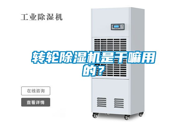 轉(zhuǎn)輪除濕機(jī)是干嘛用的？