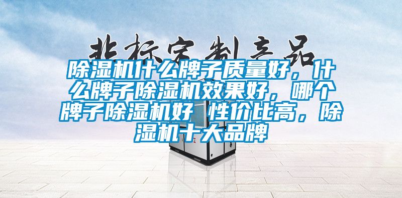 除濕機(jī)什么牌子質(zhì)量好，什么牌子除濕機(jī)效果好，哪個(gè)牌子除濕機(jī)好 性價(jià)比高，除濕機(jī)十大品牌