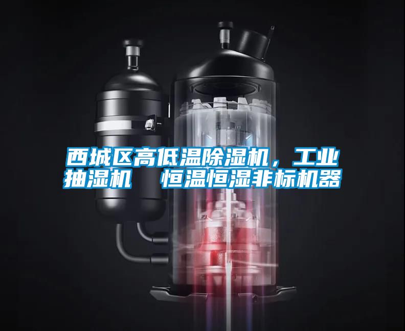西城區(qū)高低溫除濕機(jī)，工業(yè)抽濕機(jī)  恒溫恒濕非標(biāo)機(jī)器