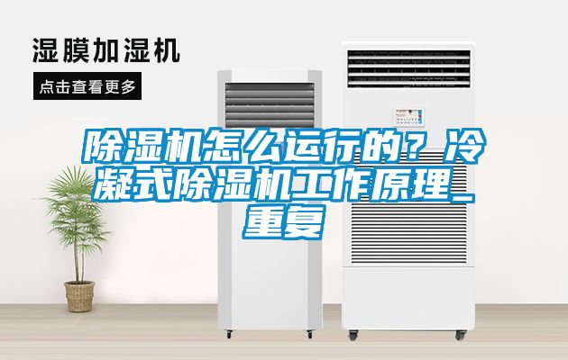 除濕機(jī)怎么運行的？冷凝式除濕機(jī)工作原理_重復(fù)
