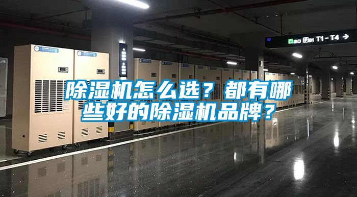 除濕機(jī)怎么選？都有哪些好的除濕機(jī)品牌？
