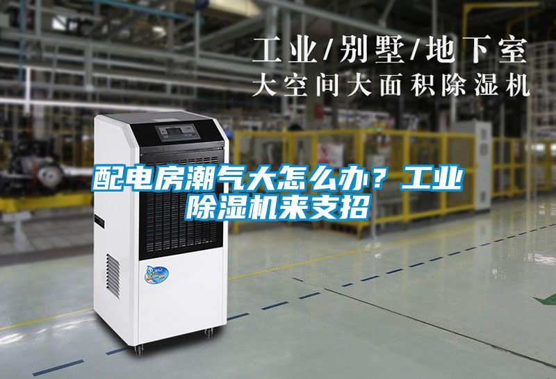 配電房潮氣大怎么辦？工業(yè)除濕機(jī)來支招