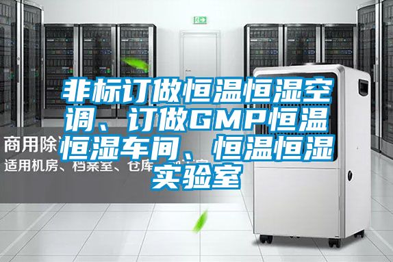 非標訂做恒溫恒濕空調(diào)、訂做GMP恒溫恒濕車間、恒溫恒濕實驗室