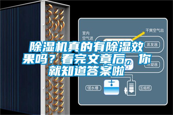 除濕機真的有除濕效果嗎？看完文章后，你就知道答案啦