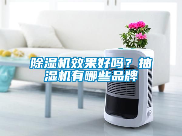 除濕機(jī)效果好嗎？抽濕機(jī)有哪些品牌