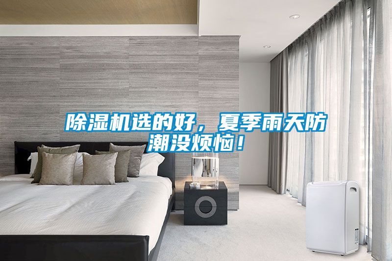 除濕機選的好，夏季雨天防潮沒煩惱！