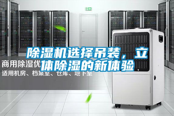 除濕機(jī)選擇吊裝，立體除濕的新體驗(yàn)