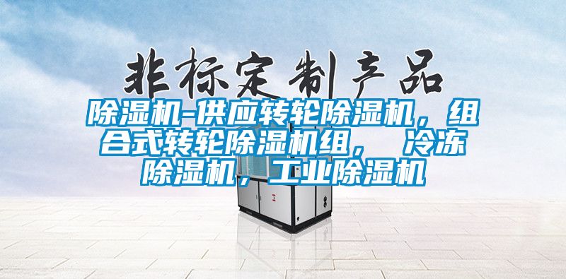 除濕機(jī)-供應(yīng)轉(zhuǎn)輪除濕機(jī)，組合式轉(zhuǎn)輪除濕機(jī)組， 冷凍除濕機(jī)，工業(yè)除濕機(jī)