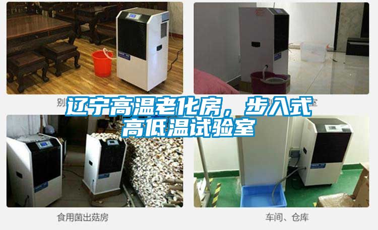 遼寧高溫老化房，步入式高低溫試驗(yàn)室