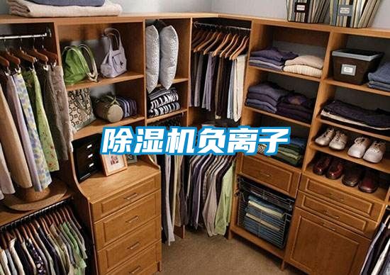 除濕機負(fù)離子