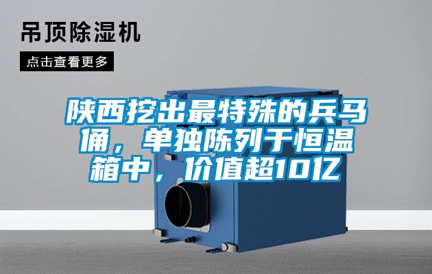 陜西挖出最特殊的兵馬俑，單獨(dú)陳列于恒溫箱中，價(jià)值超10億