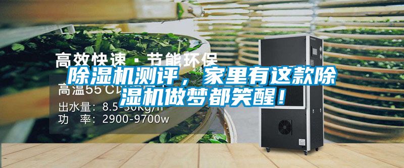 除濕機(jī)測評，家里有這款除濕機(jī)做夢都笑醒！