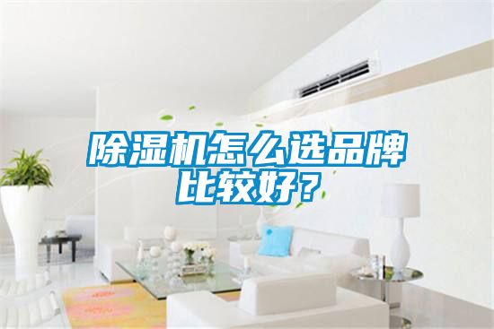 除濕機怎么選品牌比較好？