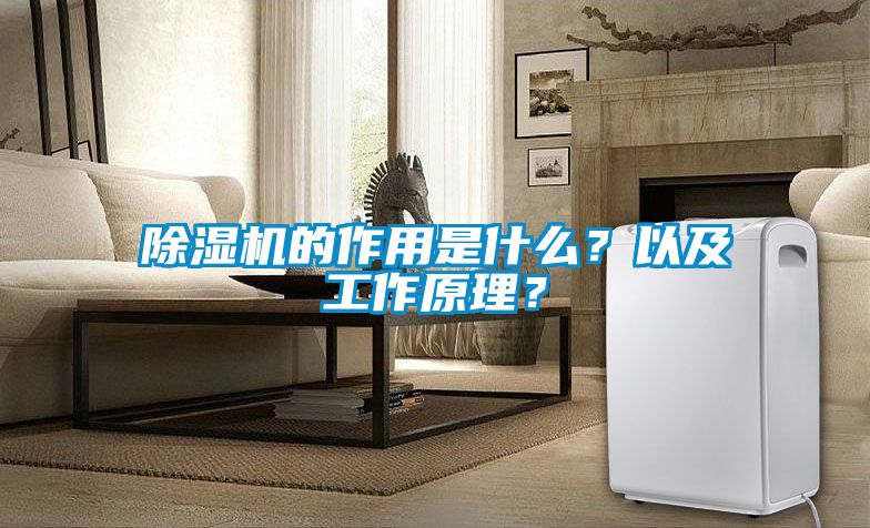 除濕機(jī)的作用是什么？以及工作原理？