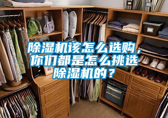 除濕機該怎么選購，你們都是怎么挑選除濕機的？