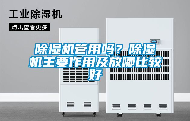 除濕機(jī)管用嗎？除濕機(jī)主要作用及放哪比較好