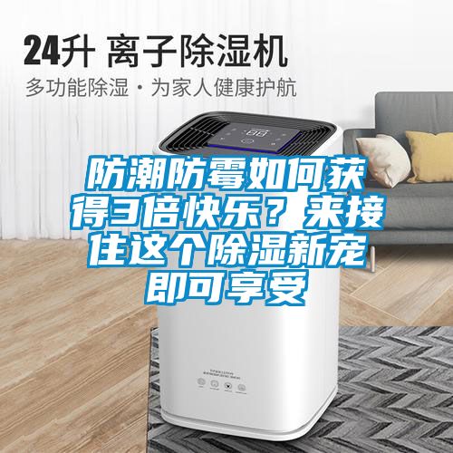 防潮防霉如何獲得3倍快樂？來接住這個除濕新寵即可享受