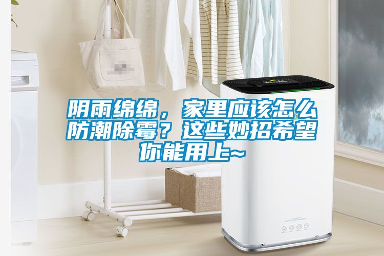 陰雨綿綿，家里應該怎么防潮除霉？這些妙招希望你能用上~