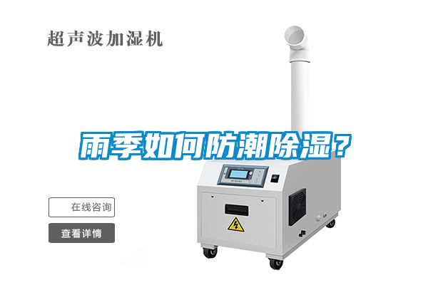 雨季如何防潮除濕？