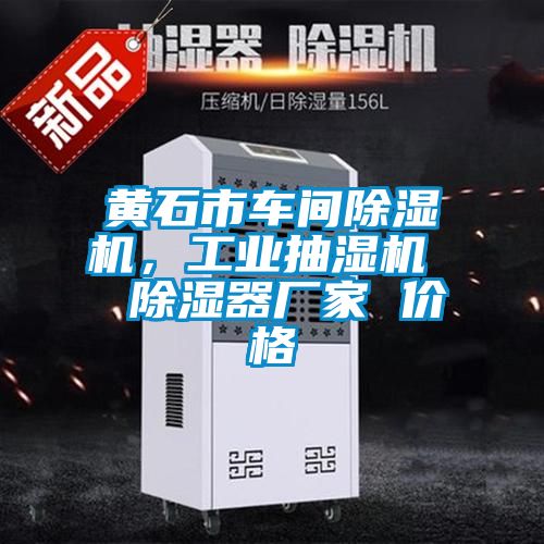 黃石市車間除濕機，工業(yè)抽濕機  除濕器廠家 價格