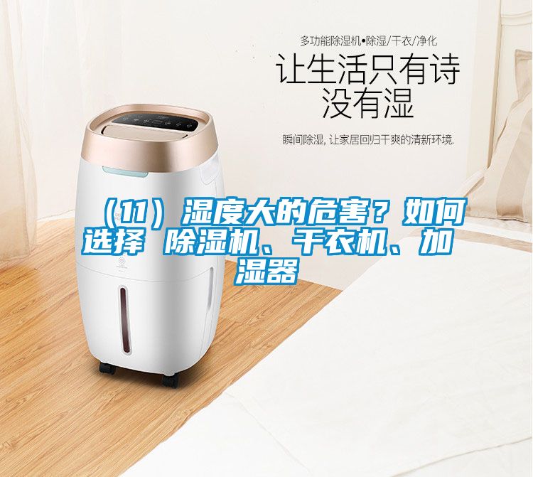 （11）濕度大的危害？如何選擇 除濕機、干衣機、加濕器