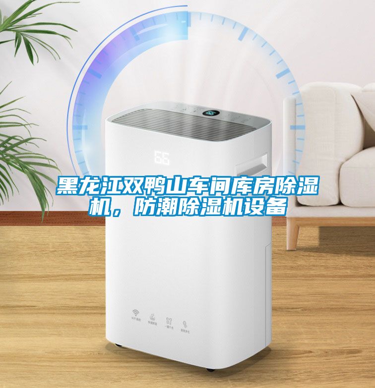 黑龍江雙鴨山車間庫房除濕機，防潮除濕機設備