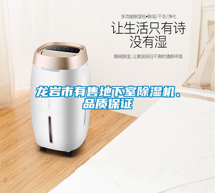 龍巖市有售地下室除濕機(jī)、品質(zhì)保證