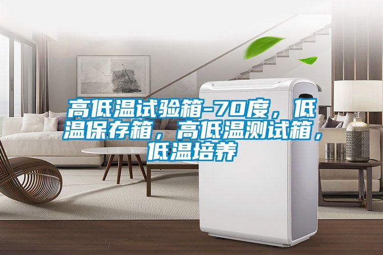 高低溫試驗(yàn)箱-70度，低溫保存箱，高低溫測(cè)試箱，低溫培養(yǎng)