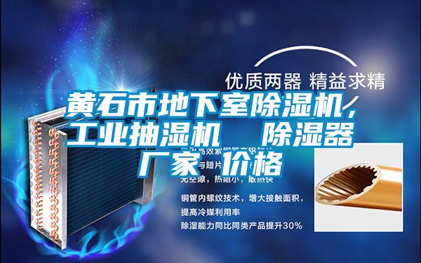 黃石市地下室除濕機，工業(yè)抽濕機  除濕器廠家 價格