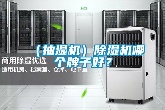 （抽濕機(jī)）除濕機(jī)哪個牌子好？