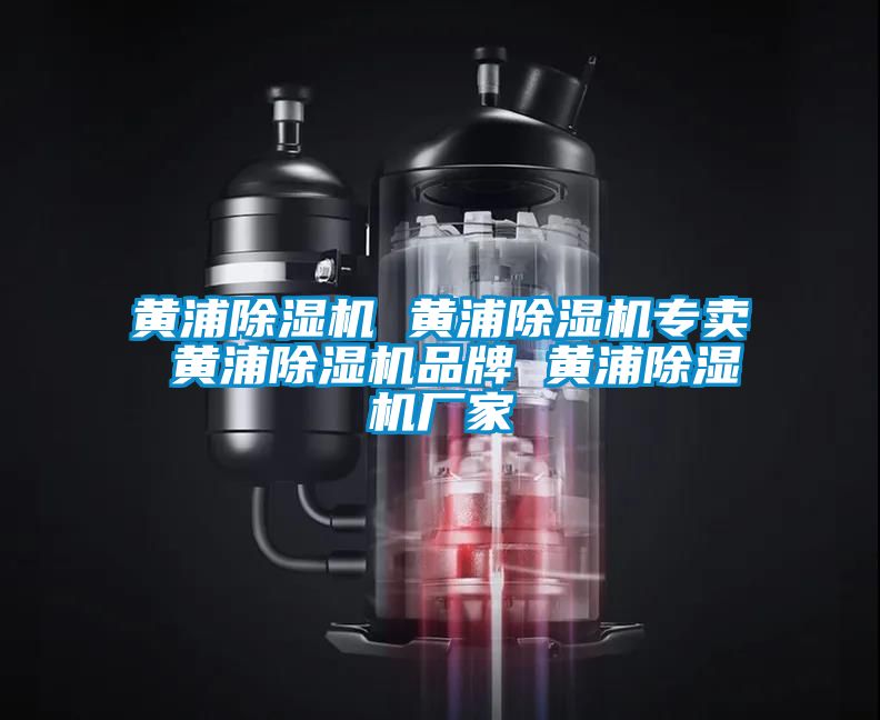 黃浦除濕機(jī) 黃浦除濕機(jī)專(zhuān)賣(mài) 黃浦除濕機(jī)品牌 黃浦除濕機(jī)廠家