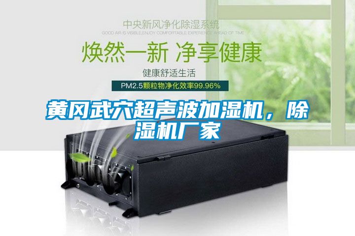 黃岡武穴超聲波加濕機(jī)，除濕機(jī)廠家